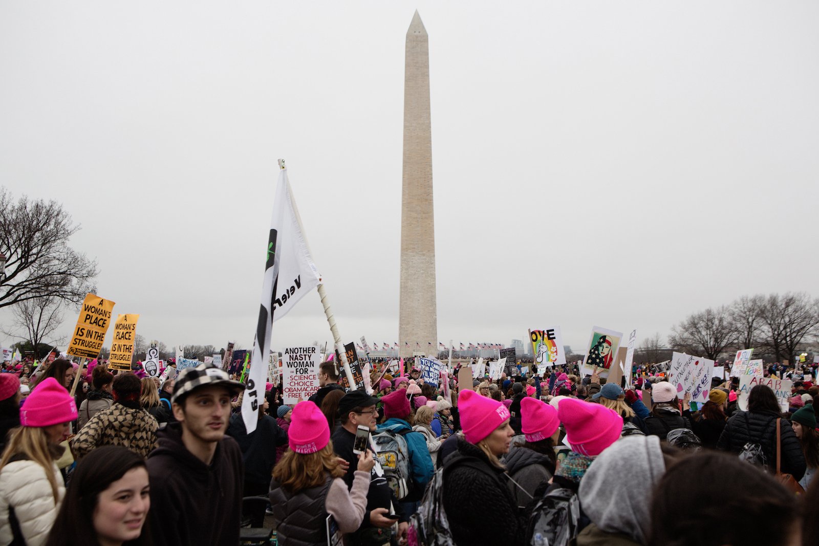 Images From The Women’s March On Washington - Ravelin Magazine